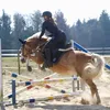 leede11