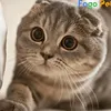 kimphuong160698