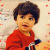 om_aseel_68