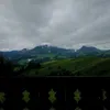 zzhbgkz_
