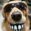 sirmutt