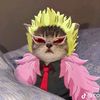 doniichan