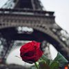 mariem524