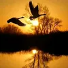 user5vf7yrsmzy