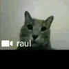 connar._.xd