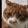 uwngh31