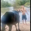 tamtruong85