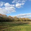 lavouivre