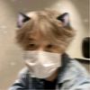 chim_chim236