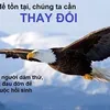 thuanly46