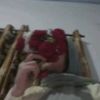 shajalnoor_22