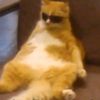 iwantsomeramen