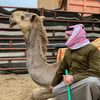 zabin_111
