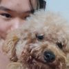 vy_bebonq