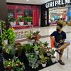 hendra_l2