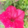 sa.baloch1