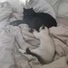 rajah_et_koda