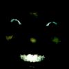 blackhole766