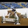 hunterjumper103