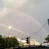 hoanglinh241187