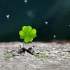 thanh_1208