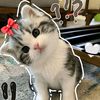 nananara_x