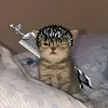 schkozuki