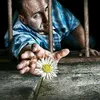 mohammad501120