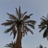 lsilx7_
