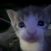litlle__luck