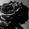 rahool_1813