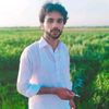 ayan786374