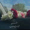 aliashahzad01