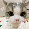 jjah_0206