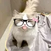 cherrryblossoms0