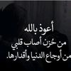 user278558802