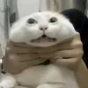 munoichatuimay_