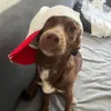 elisa_.k_