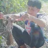 www.nhutpham.com