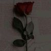 user1501205353349