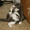 inga_nskv
