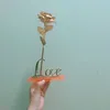 hanhyeen
