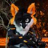 Furrider