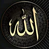 dlpak_omer