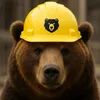 grizzlystory1