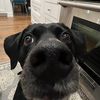 ryan_zangara_10122