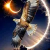 81.81horsesandnight
