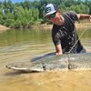 TheFishWhisperer