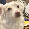 sunnytooisct