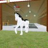 fiore_20980